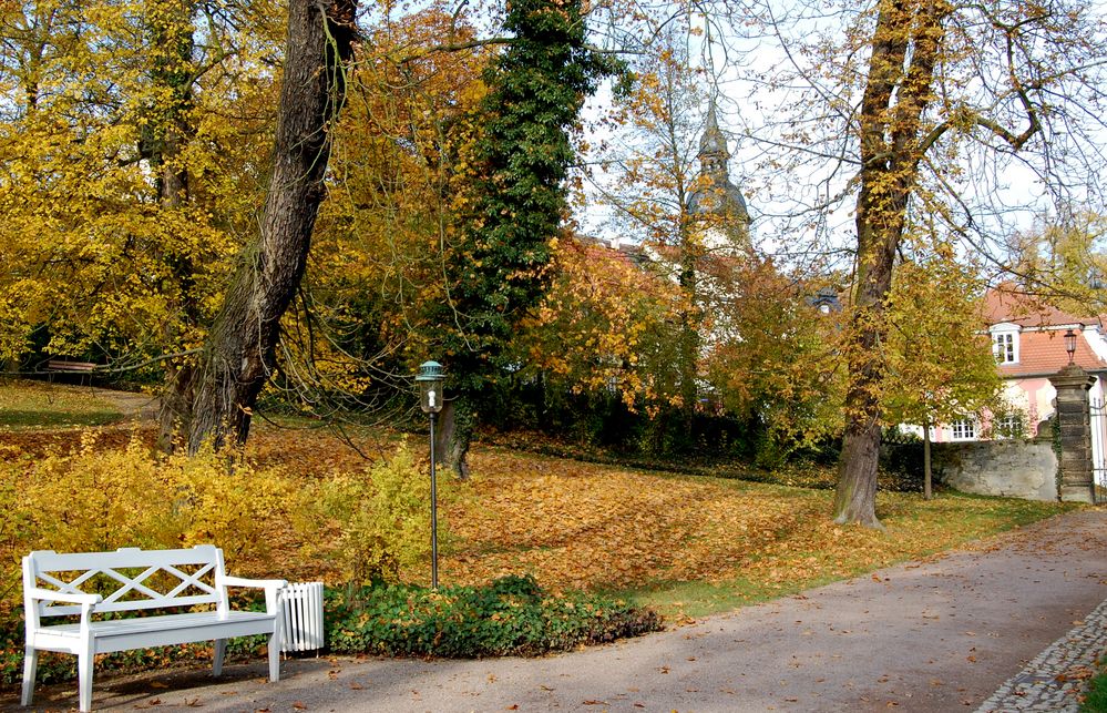 Laubfärbung im Schloßpark der Dornburger Schlösser