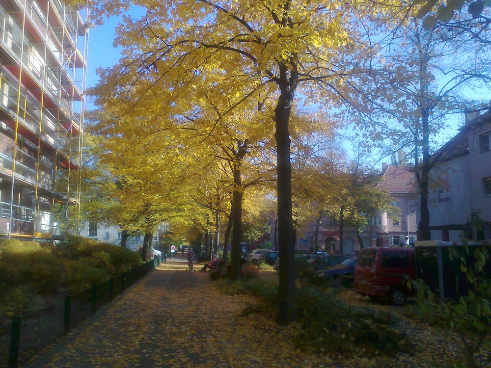 Laubfärbung in den Strassen von Berlin