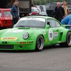 Laubfrosch 911