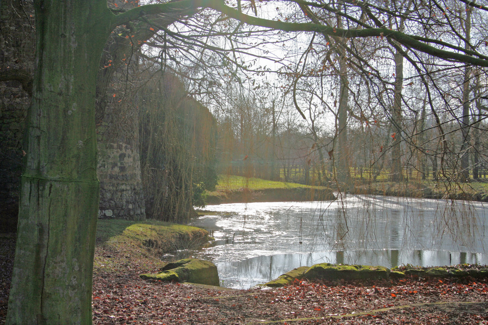 Laubgeflüster