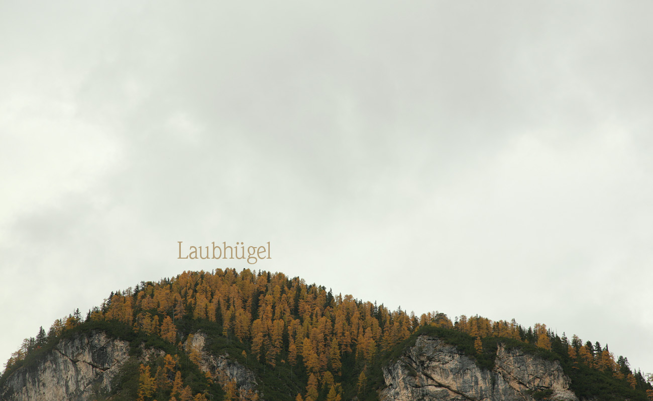 Laubhügel | hill of leaves