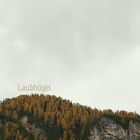 Laubhügel | hill of leaves