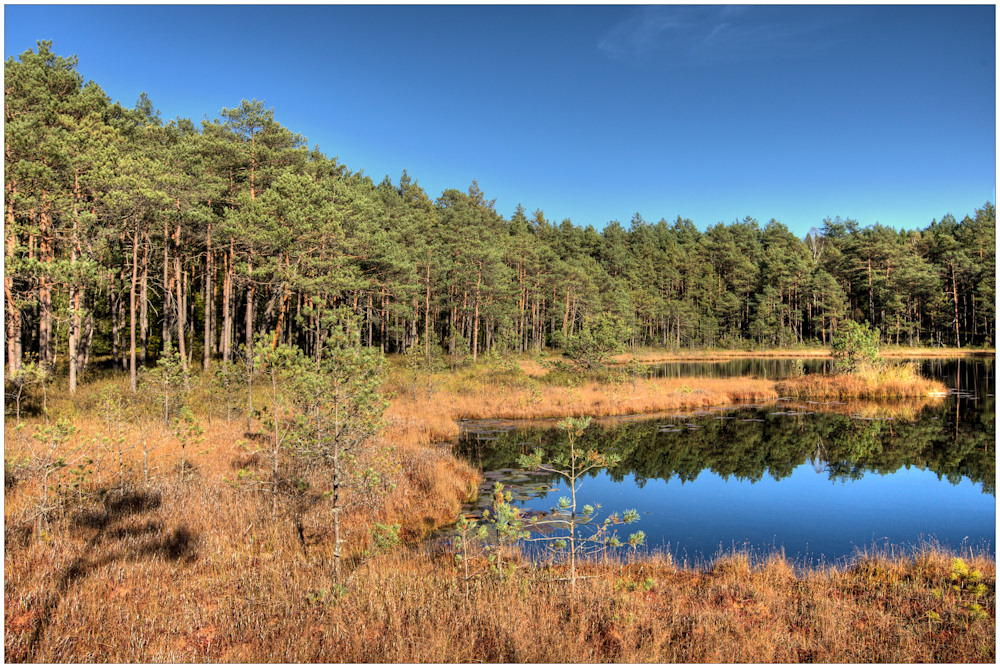 Laubloser Herbst am Kielbiksee