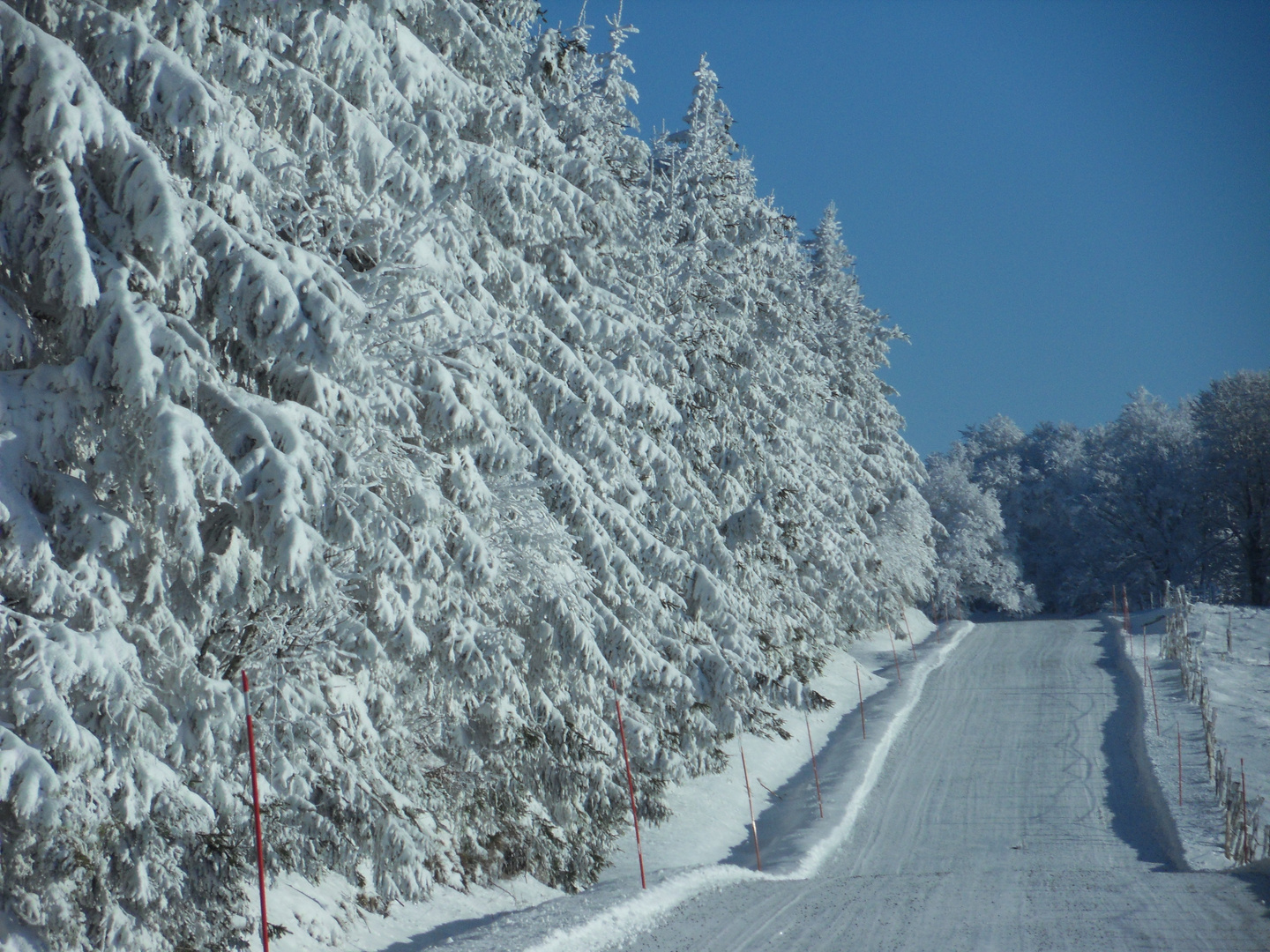 l'Aubrac sous la neige (route de Laguiole à Aubrac)