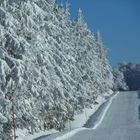 l'Aubrac sous la neige (route de Laguiole à Aubrac)