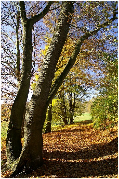 - Laubweg am Fließtal -