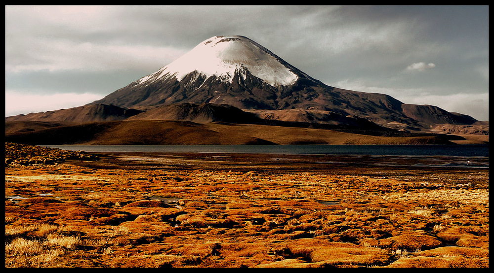 LAUCA