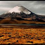 LAUCA