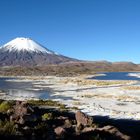 Lauca Nationalpark, Chile