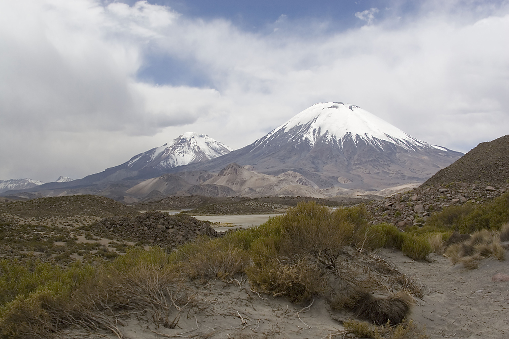 Lauca NP