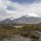 Lauca NP