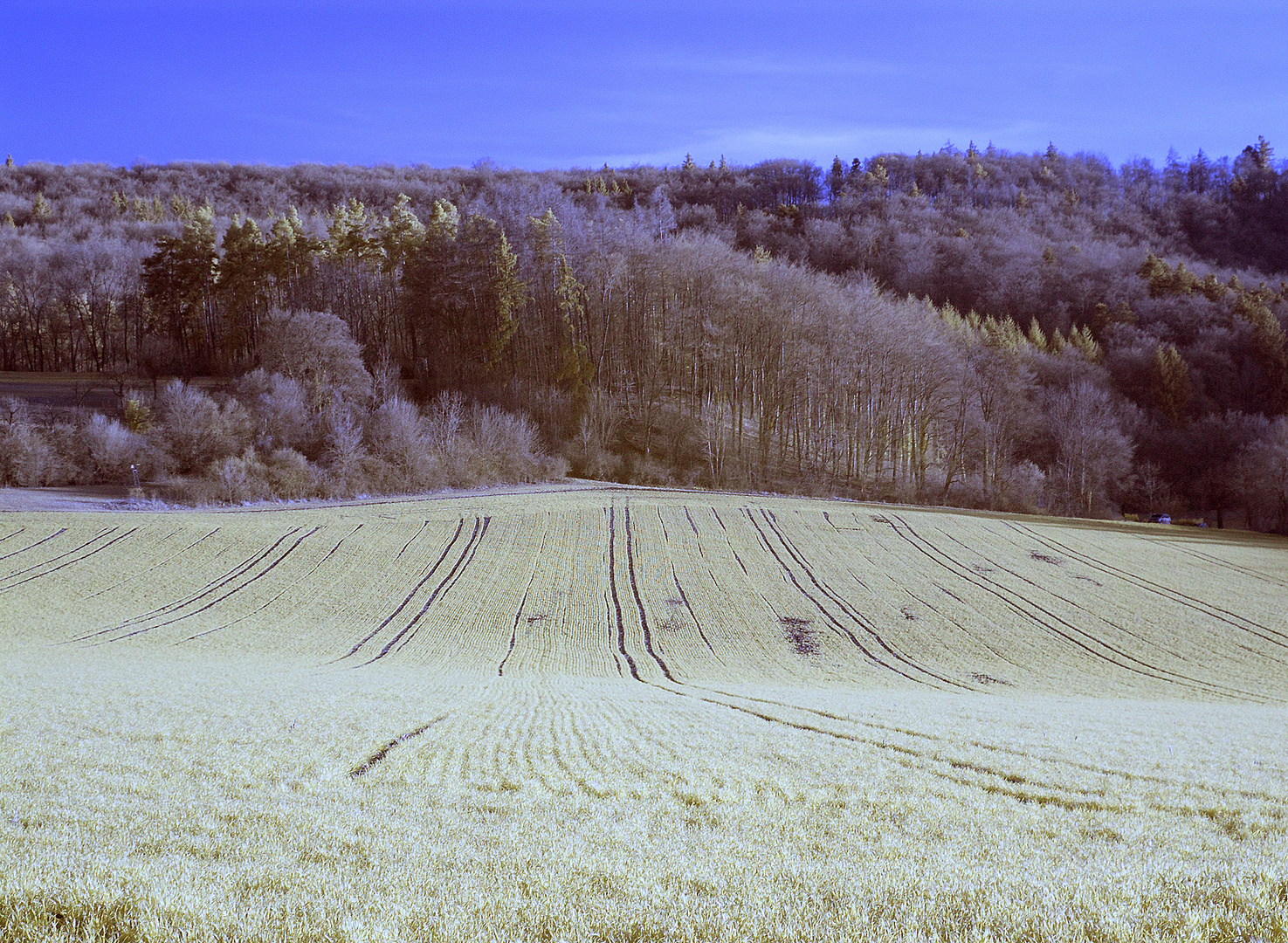 lauchheim am stettberg (3)