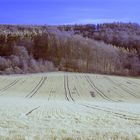 lauchheim am stettberg (3)