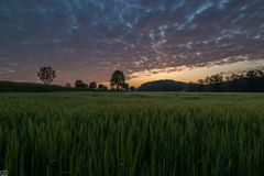 Lauchringen - ein Morgen erwacht