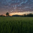 Lauchringen - ein Morgen erwacht