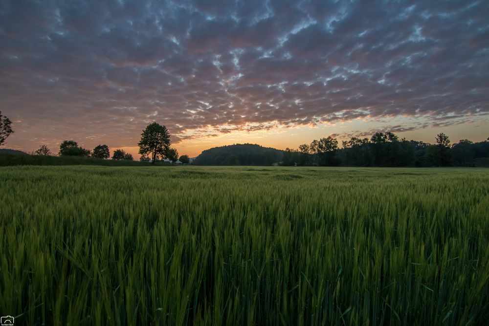 Lauchringen - ein Morgen erwacht