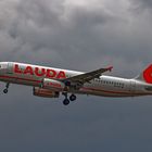 Lauda Air (II)