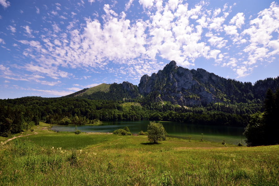 Laudachsee und Traunstein