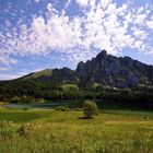 Laudachsee und Traunstein