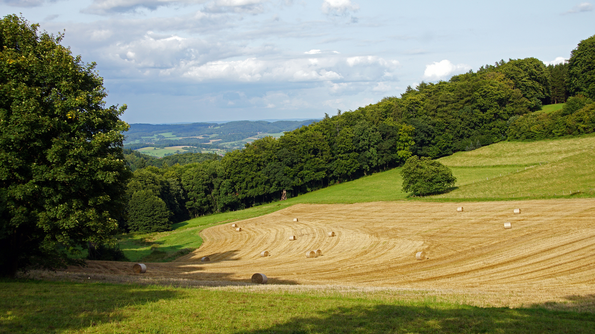 Laudenau-Reichelsheim