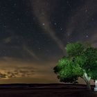 Laue Sommernacht