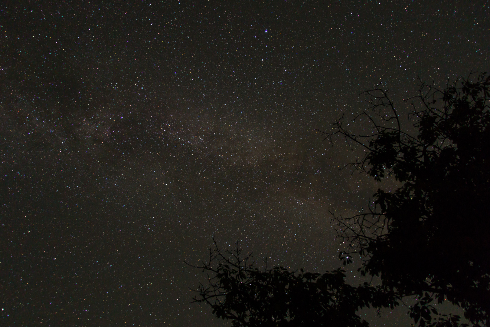 Laue Sommernacht