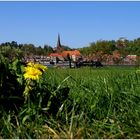 Lauenburg im Frühling