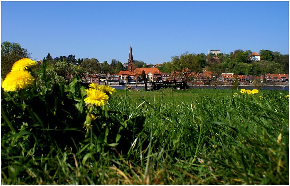 Lauenburg im Frühling