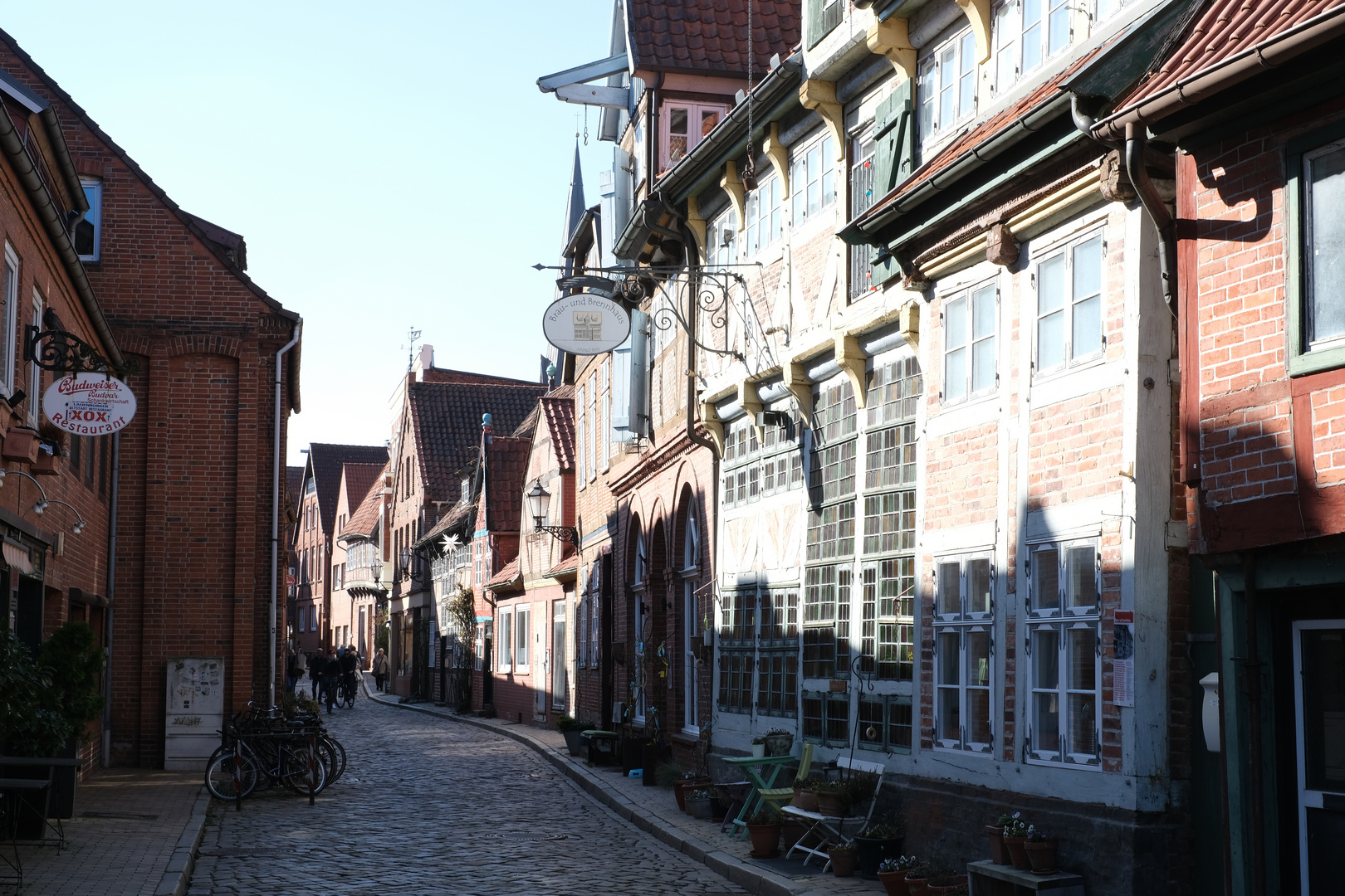 Lauenburg im Frühling