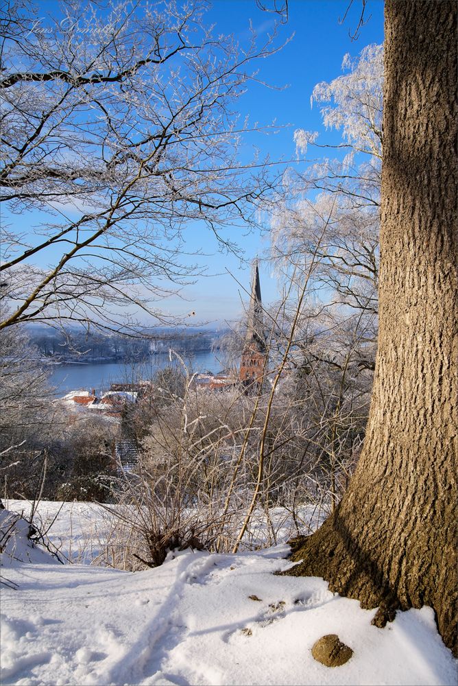 Lauenburger Winterwunderland (1)