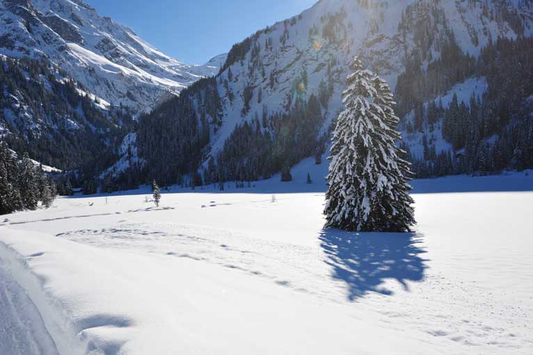 Lauenen Schneeimpressionen 2