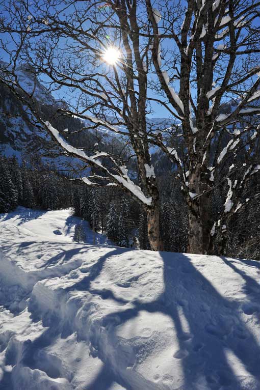 Lauenen Schneeimpressionen 6