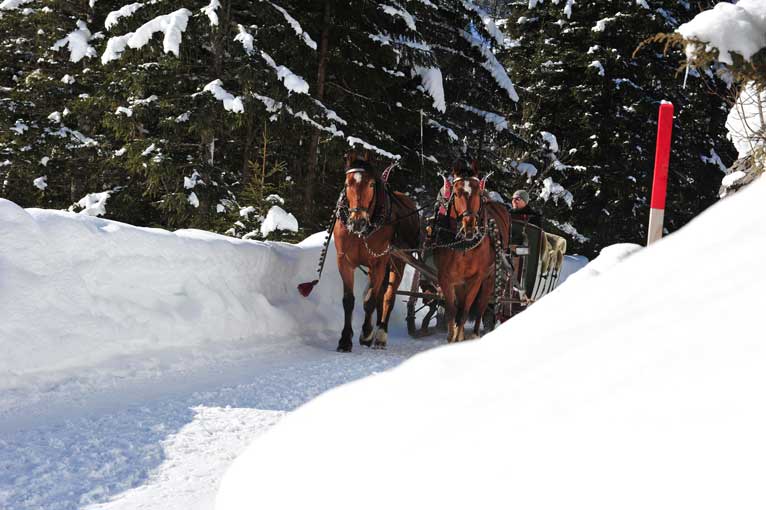 Lauenen Schneeimpressionen 8