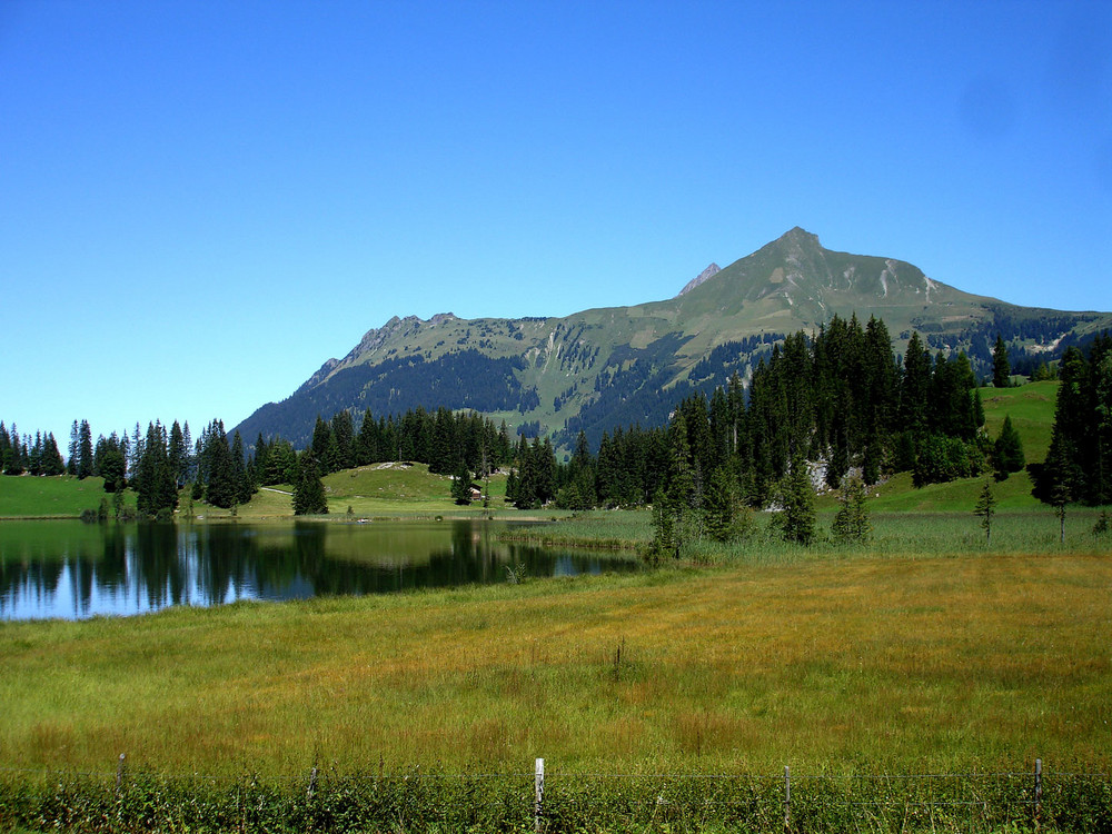 Lauenensee 2