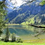 Lauenensee 2