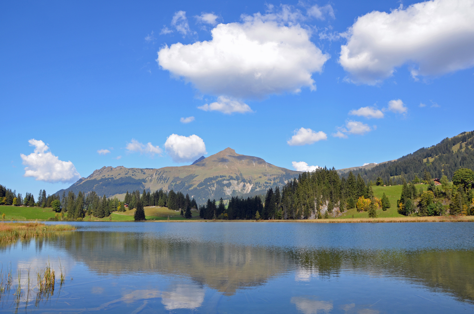 Lauenensee