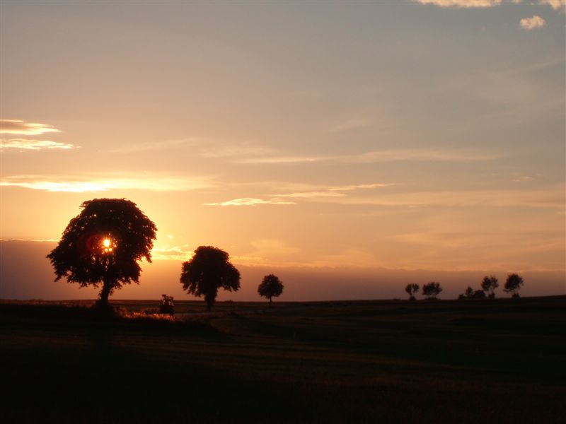 Lauer Sommerabend