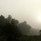 Lauertal Auen im Nebel