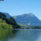 Lauerzer See mit Blick auf Rigi