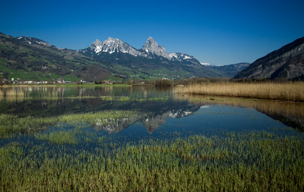 Lauerzersee