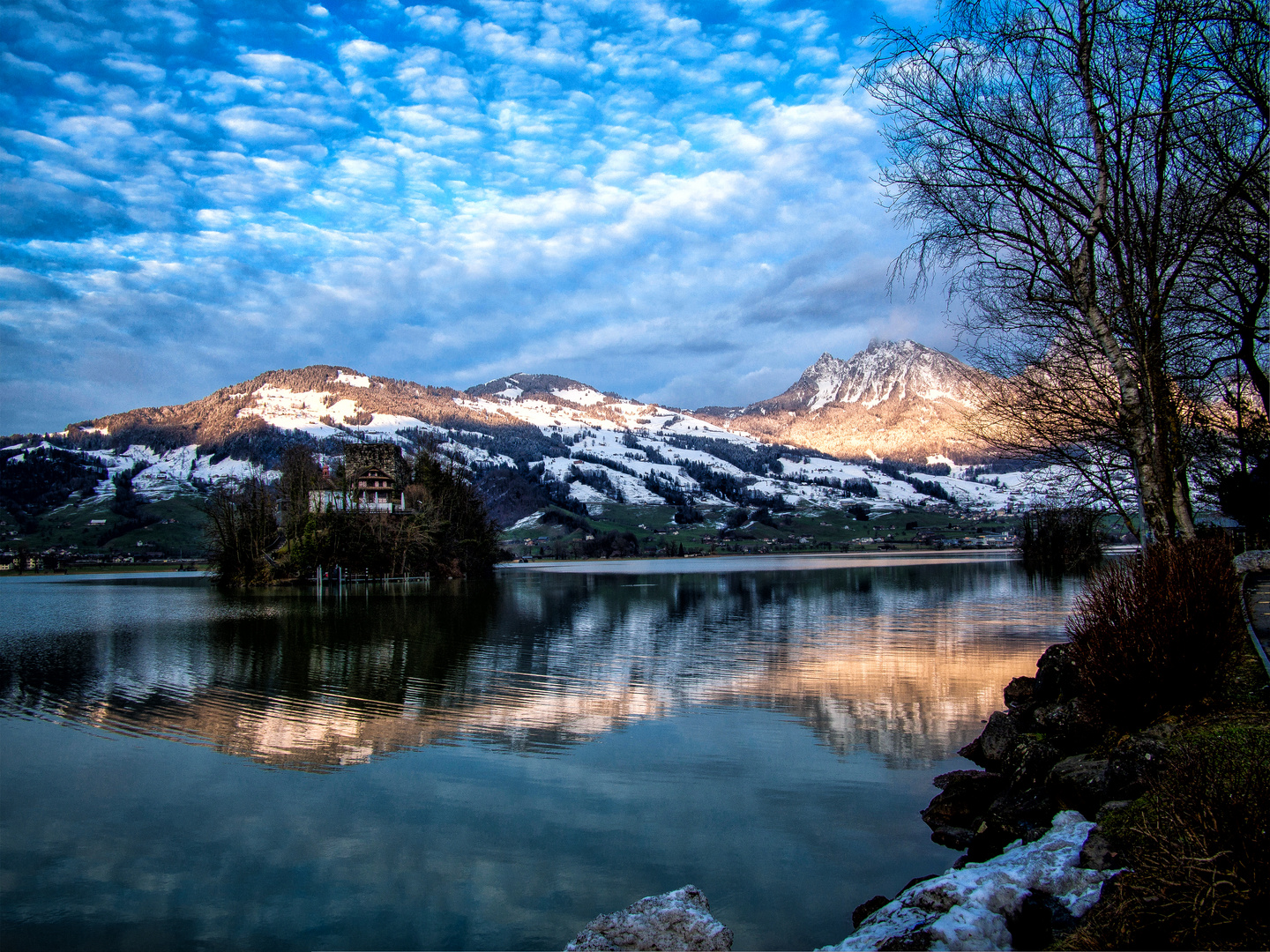 Lauerzersee