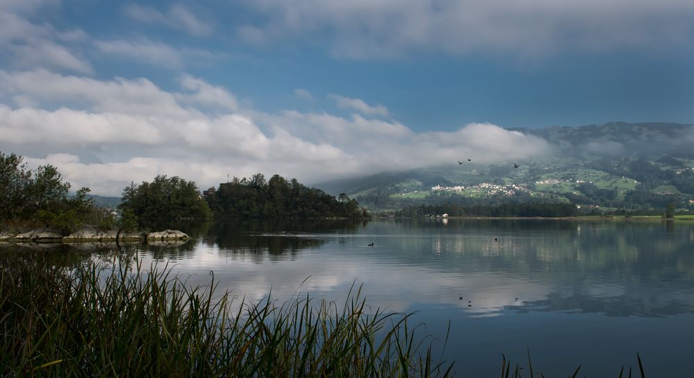 Lauerzersee