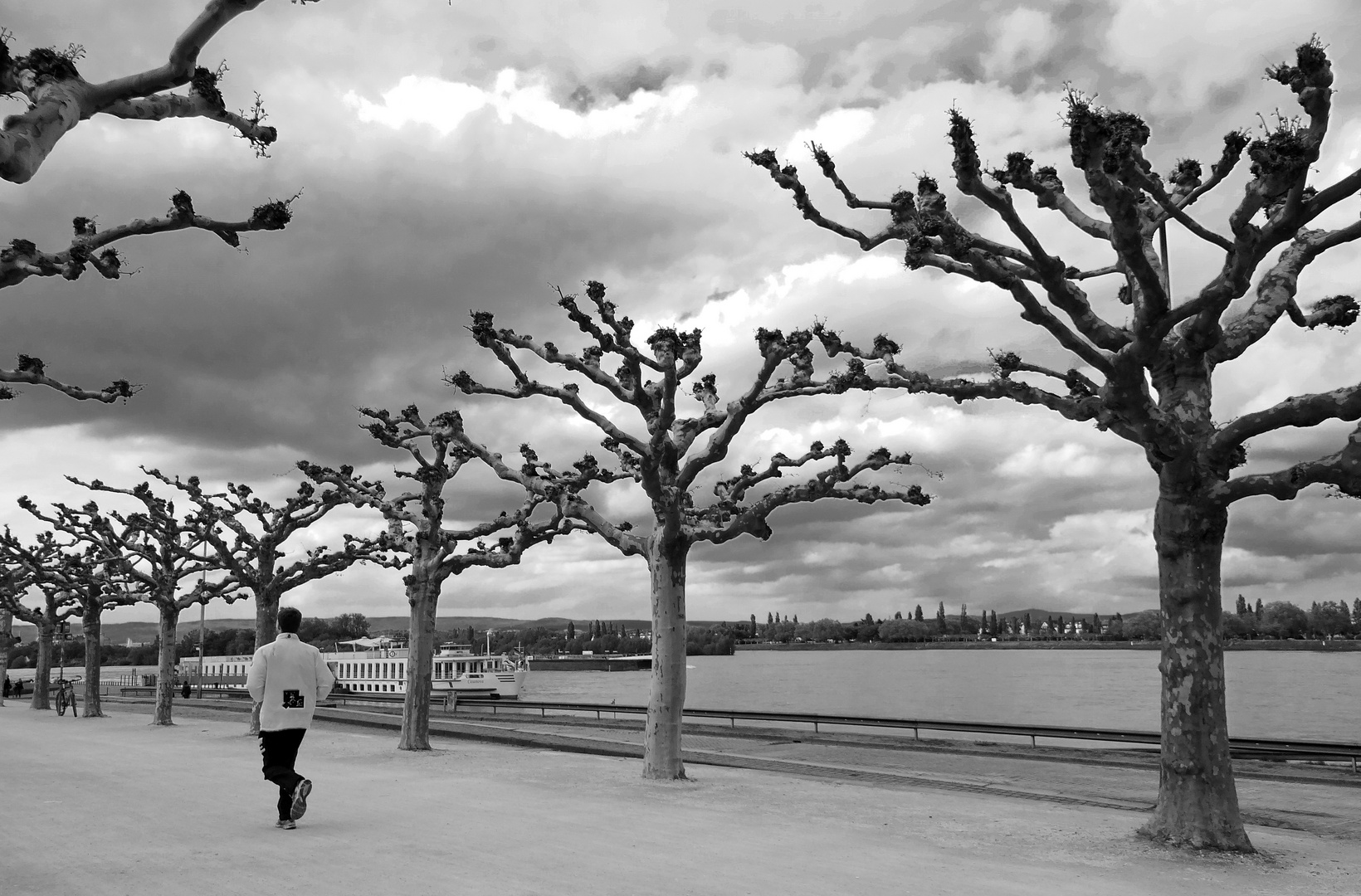 Lauf am Rhein