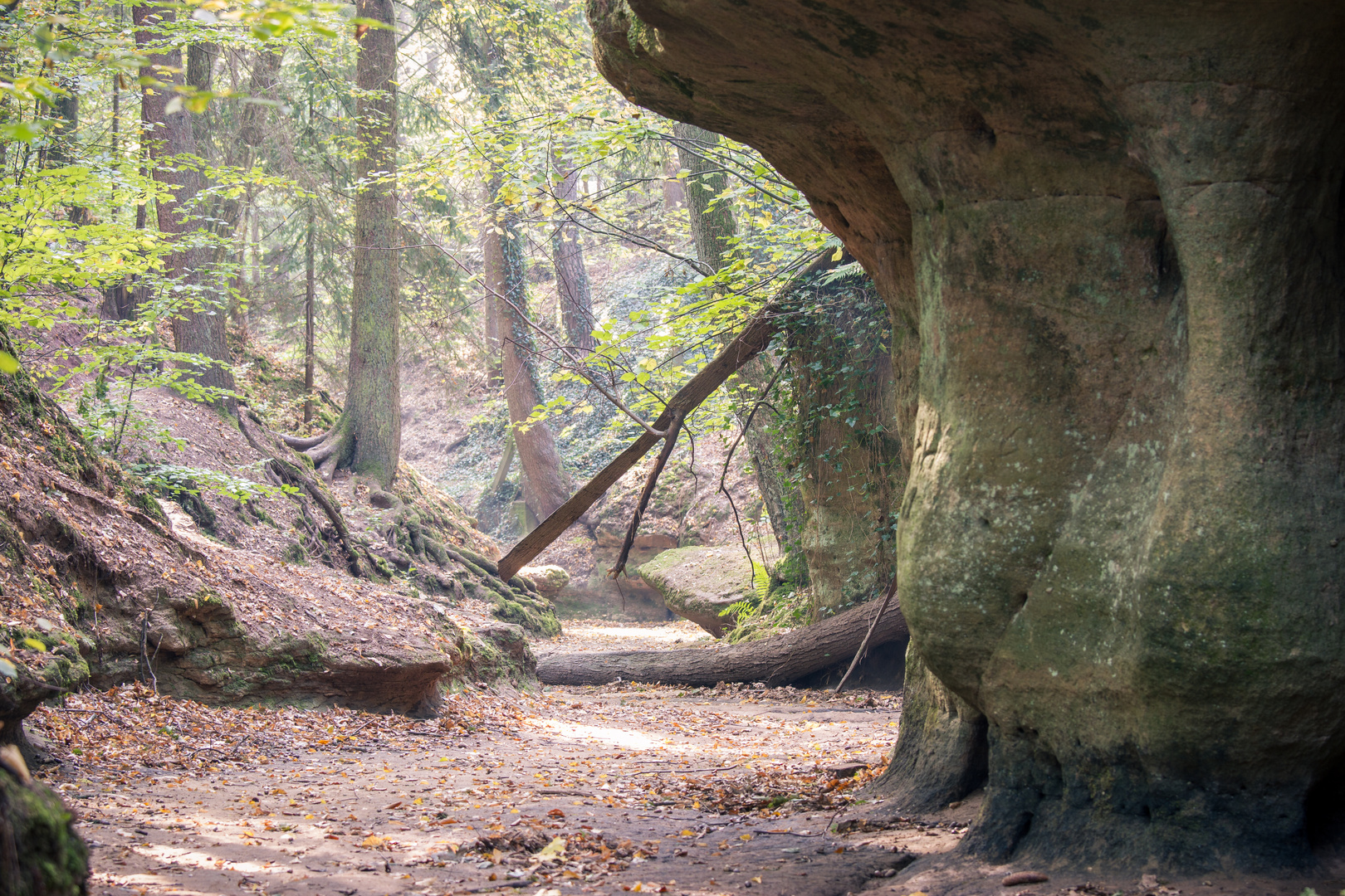 Lauf - Bitterbachschlucht