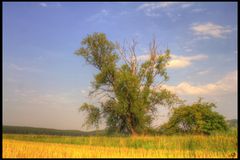 Lauf der Natur