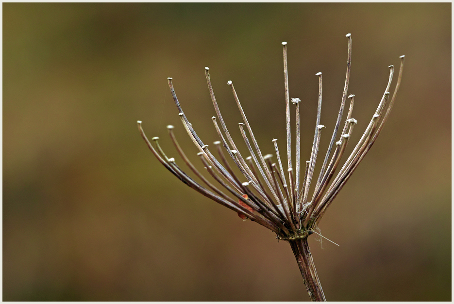 Lauf der Natur (III)