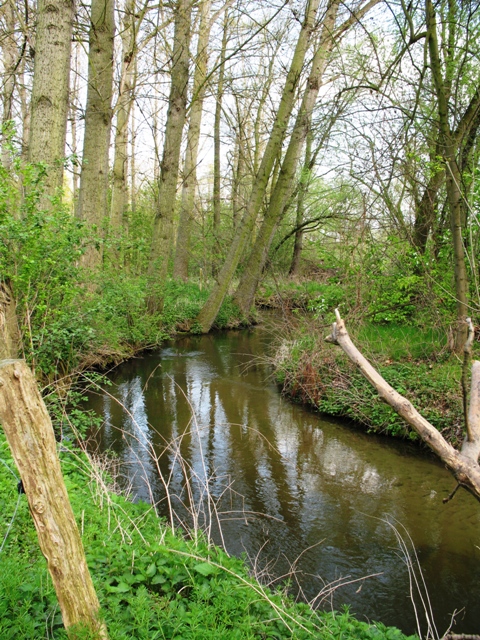 Lauf des Lebens