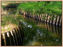 Lauf des Lebens