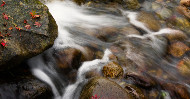 Lauf des Wassers