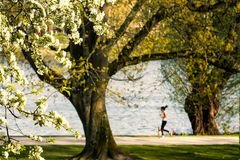 Lauf Dich frühling!